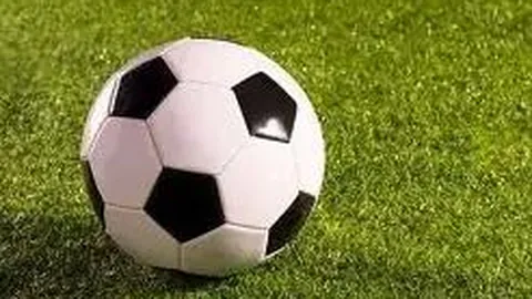 安切洛蒂：双方均有权对判罚提出申诉