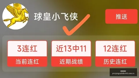 2026世界杯焦点：民主刚果力争胜利，乌兹别克铁定阵型